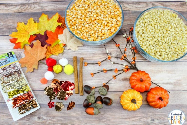 Fall Sensory Bin for Toddlers and Preschoolers - Natural Beach Living