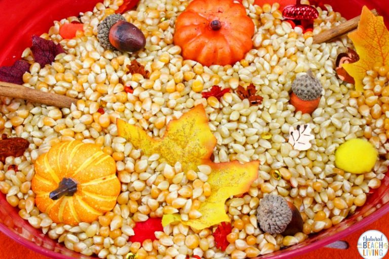 Fall Sensory Bin for Toddlers and Preschoolers - Natural Beach Living