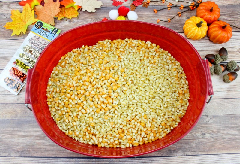 Fall Sensory Bin for Toddlers and Preschoolers, A Fall Sensory Bin is the perfect way for children to explore the fall season. Sensory activities are full of ways kids can learn about textures, sounds, smells, and colors. Easy fall sensory idea for kids