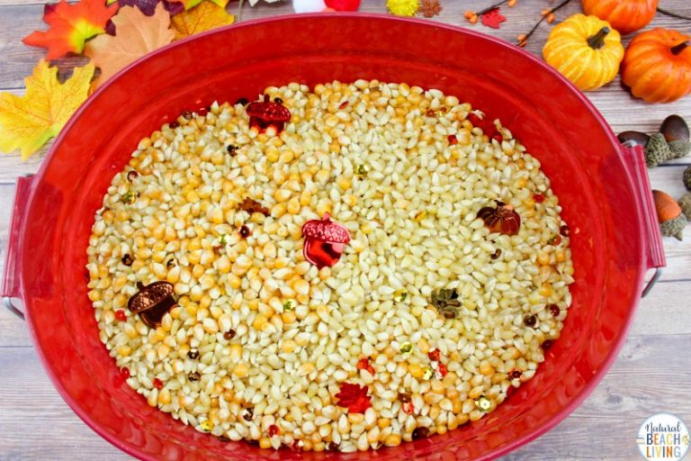Fall Sensory Bin for Toddlers and Preschoolers - Natural Beach Living