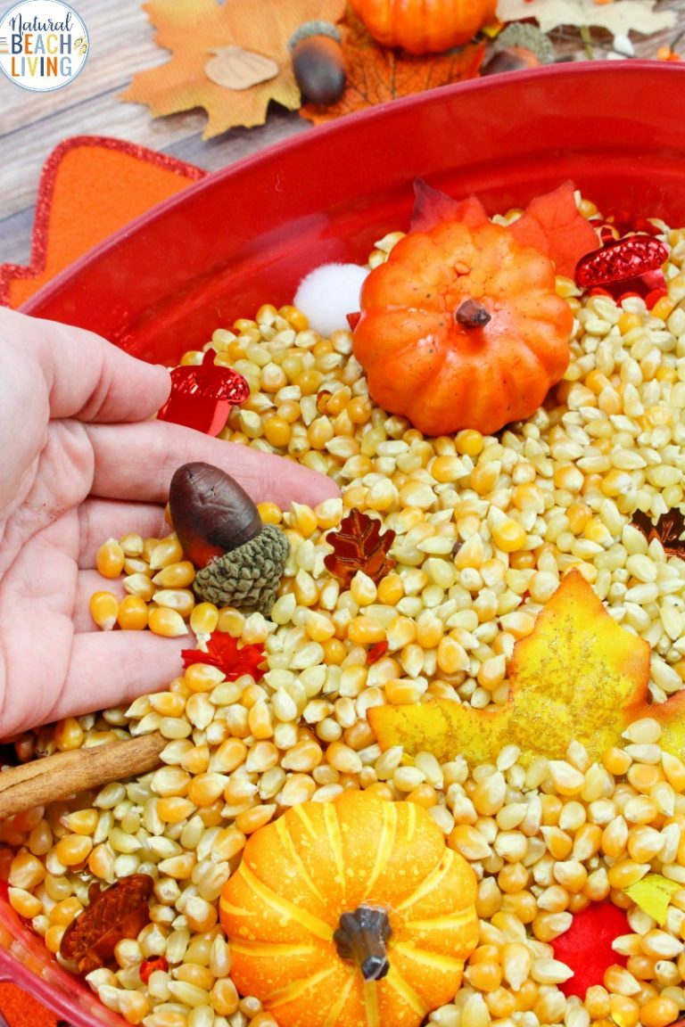 Fall Sensory Bin for Toddlers and Preschoolers