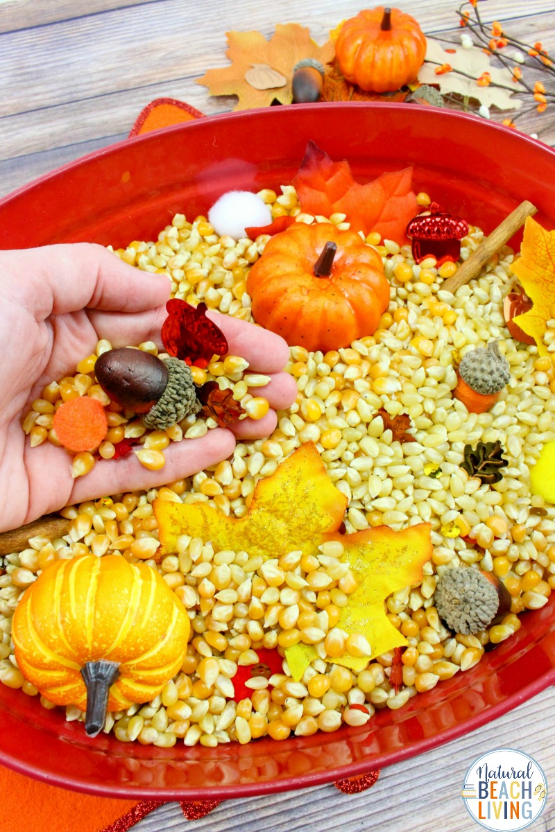 Fall Sensory Bin for Toddlers and Preschoolers, A Fall Sensory Bin is the perfect way for children to explore the fall season. Sensory activities are full of ways kids can learn about textures, sounds, smells, and colors. Easy fall sensory idea for kids 