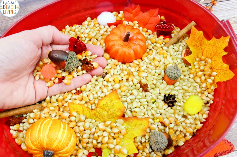 Fall Sensory Bin for Toddlers and Preschoolers - Natural Beach Living