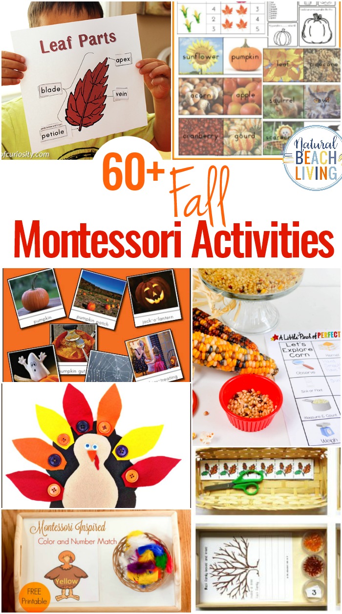 100+ Montessori Activities for Fall, Fall Themes, Fall Themes for Preschool, Montessori Monthly Themes, September Preschool Themes, October Preschool Themes and November Preschool Themes and Activities for Preschool and Kindergarten