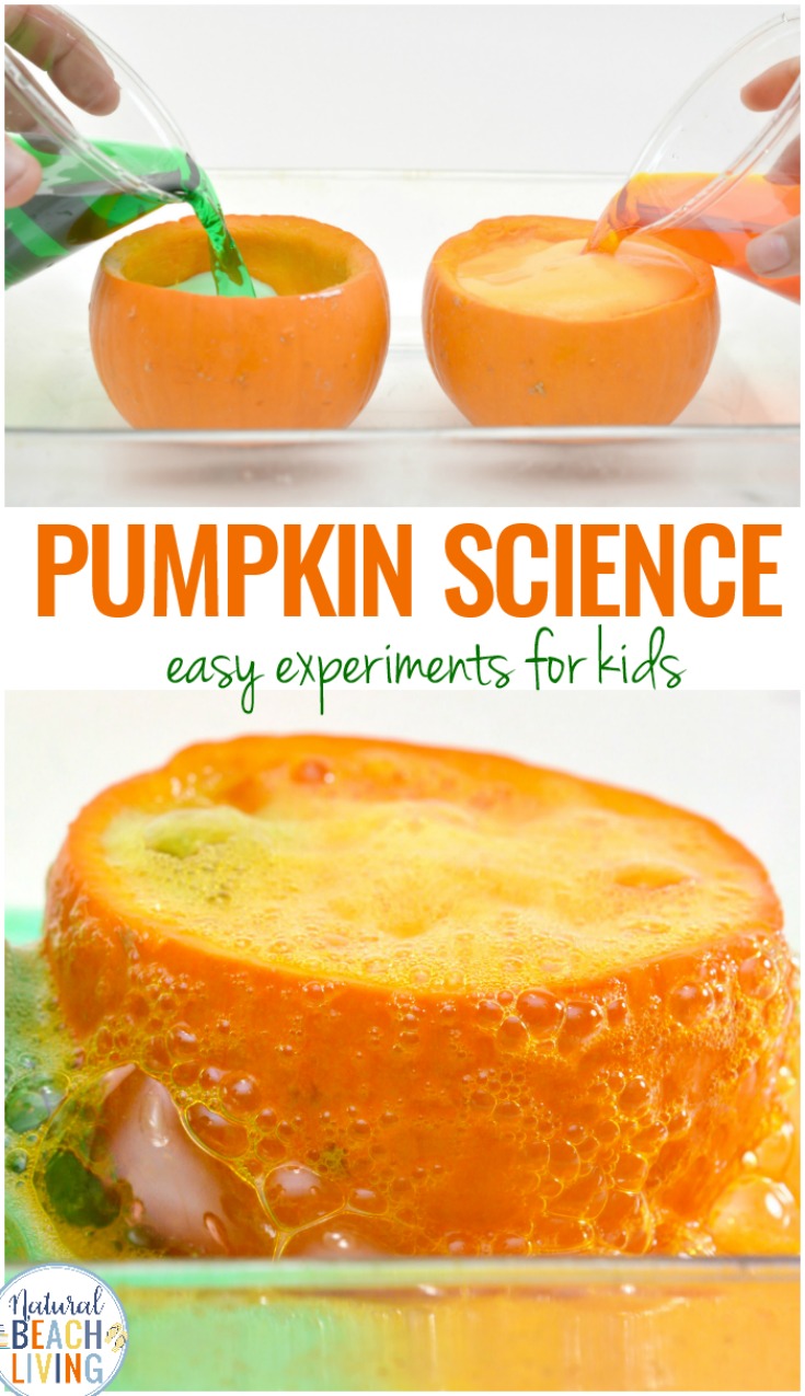 THE BEST Pumpkin Science Experiments and Pumpkin Volcano for Kids. Your Kids will love this exploding pumpkin experiment. Science Activities and Pumpkin Science Experiments are perfect for a fall theme for preschool and kindergarten, Add this Pumpkin Science to your Kids Science Table or Pumpkin Lesson Plans this fall. 