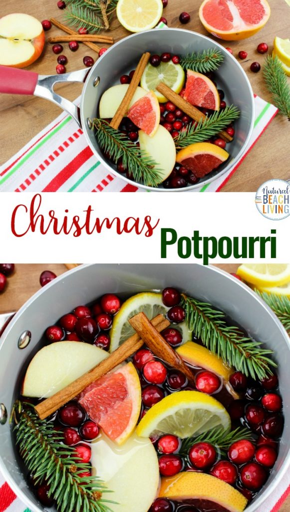 Christmas Potpourri in a Jar for your DIY Christmas Gifts - Natural ...