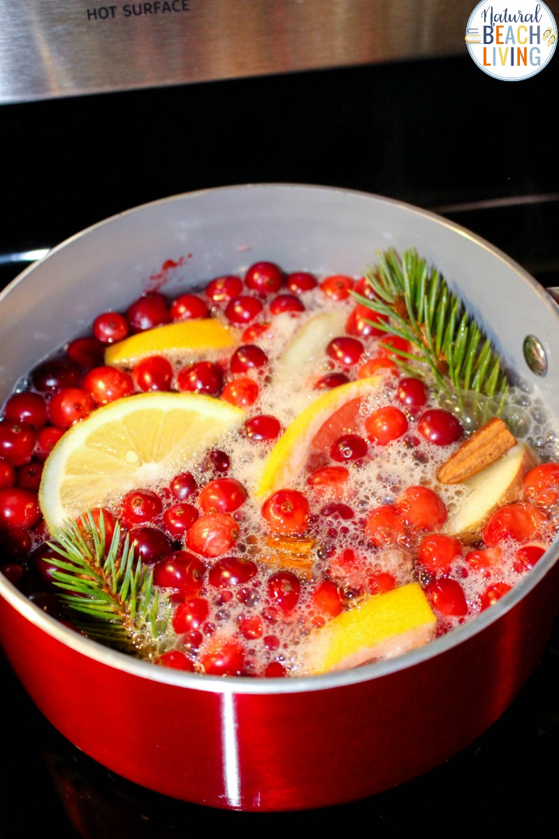 Christmas Potpourri, Stovetop Winter Potpourri, This Homemade Potpourri for the Holidays smeels amazing and is so easy to make, Christmas potpourri stovetop, Christmas potpourri recipe, Christmas gift idea