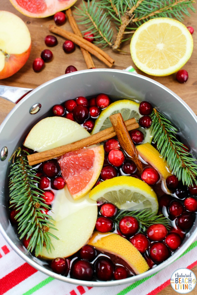 Christmas Potpourri – DIY Homemade Potpourri Recipe for the Holidays