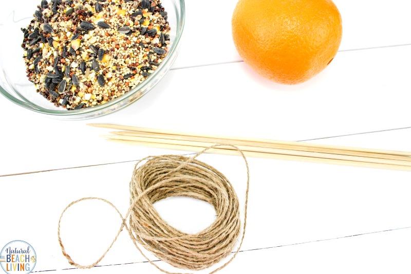 Orange Bird Feeder, Bird Seed Ornaments, Easy Birdseed ornaments for kids and adults to make, Homemade Bird Feeders like the pine cone bird feeder, apple bird feeder, Plastic Bottle Bird Feeder, DIY birdseed ornaments and Bird activities for kids 