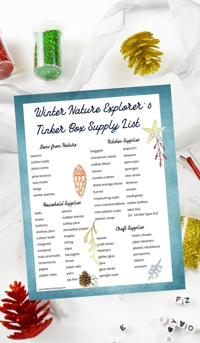 Winter Nature Activities for Preschoolers with Free Printable, Set up a Science table or even a STEM Tray, this is perfect. You can also use this free printable for a Winter Tinker Tray. You and your child can enjoy nature walks, nature books and Letter N nature activities
