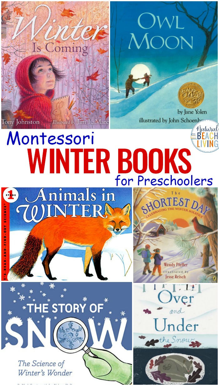 25+ Montessori Books for Winter – Best Winter Books for Preschoolers
