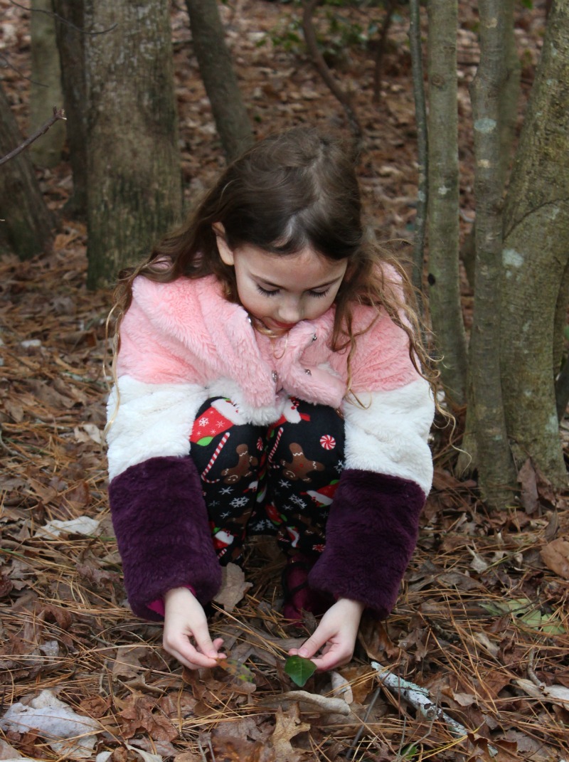 Winter Nature Activities for Preschoolers with Free Printable, Set up a Science table or even a STEM Tray, this is perfect. You can also use this free printable for a Winter Tinker Tray. You and your child can enjoy nature walks, nature books and Letter N nature activities