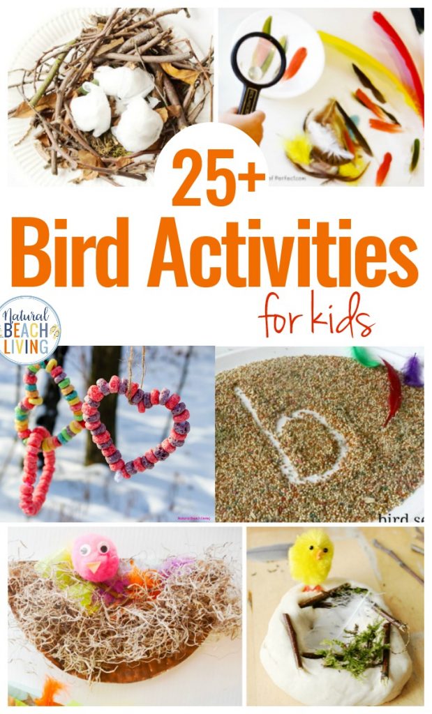Here You'll find The Best Bird Activities for Preschoolers, All the best ideas for a Preschool Bird Theme with Lesson Plans, Hands on activities, Homemade Bird Feeders and Bird Science Activities for Preschoolers, Bird Crafts and Bird Activities for kids