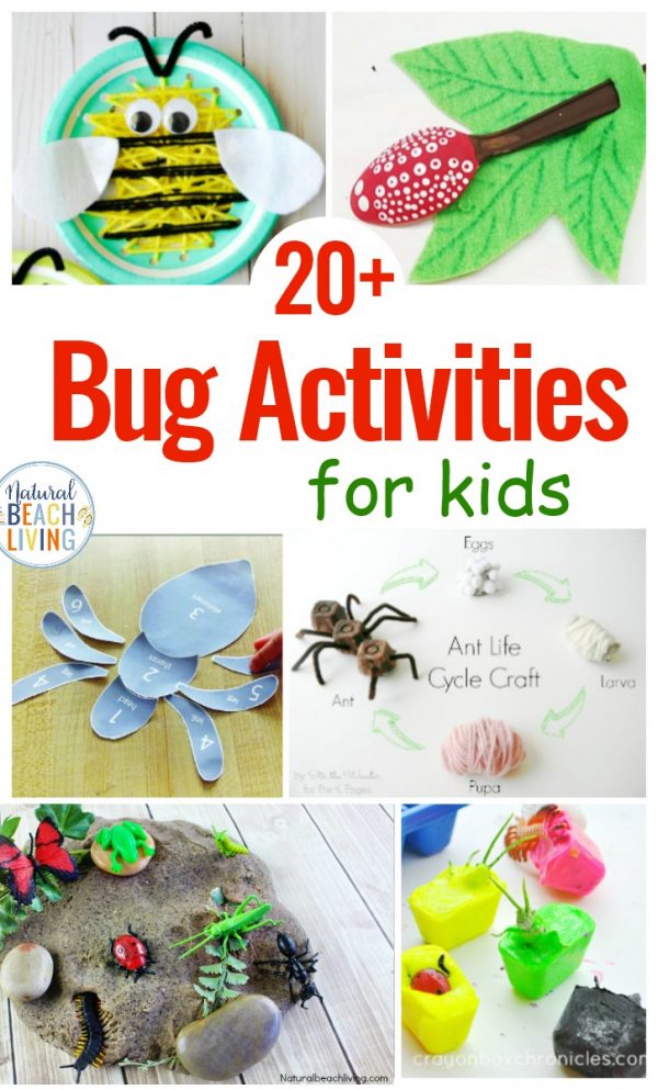 25 Bug Activities for Preschool - Natural Beach Living