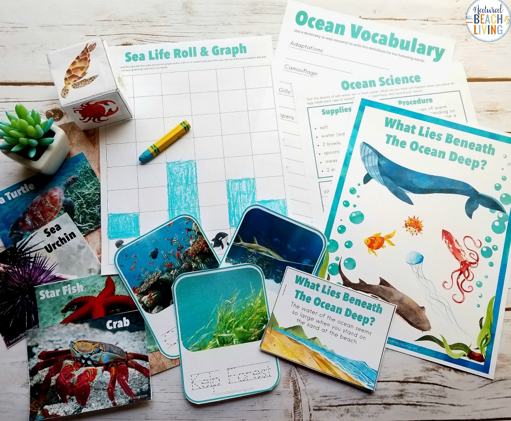 Ocean Science Activities are a perfect way to spend time learning during the summer or for a fun ocean theme.Here is fantastic Under the Sea Activities for Kids. Including sea shell sorting activities, ocean zones for kids, Science experiments for Kids and Ocean Activities for Kids, An AMAZING Ocean Unit Study 