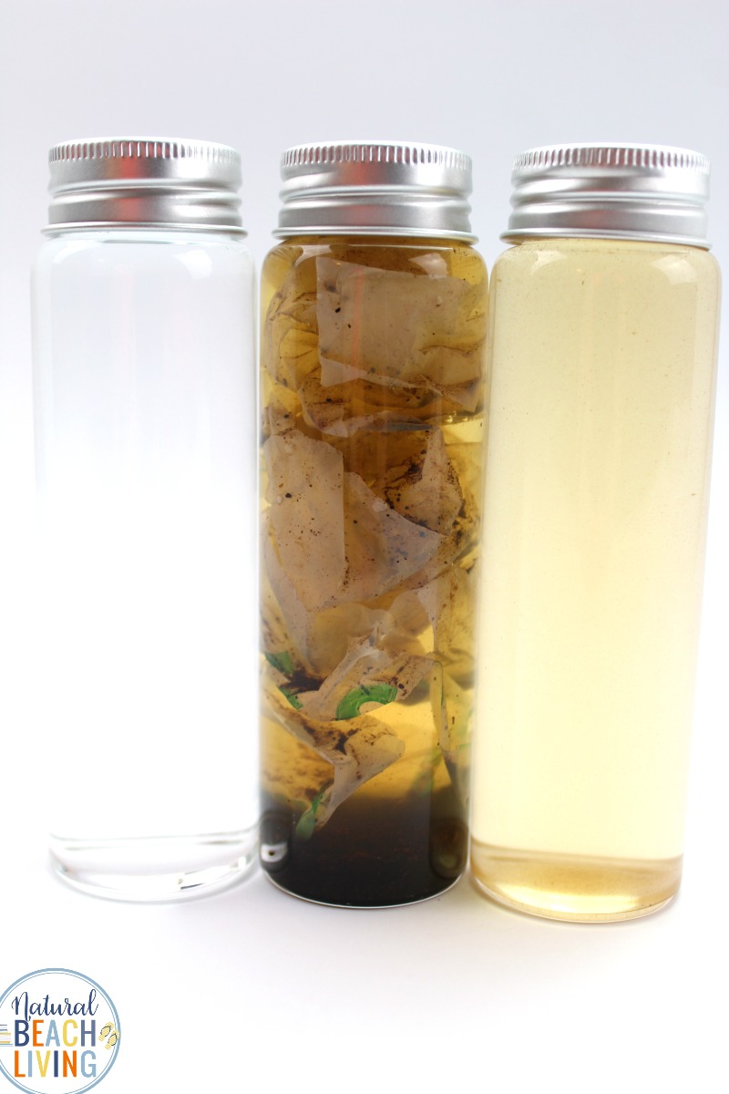 Water Pollution Activities and Ocean Pollution for Kids
