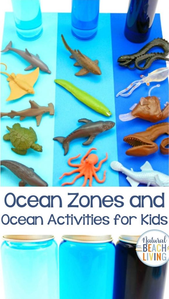 From the cool Ocean Zones for Kids to the Ocean Activities for Preschoolers these fun hands on activities can be part of an amazing ocean unit study. These Ocean activities for preschoolers in science are fun under the sea activities for preschool Ocean Sensory and Ocean Science for Preschoolers