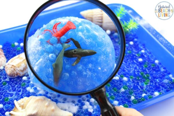 Ocean Preschool Theme - Lesson Plans and Activities - Natural Beach Living