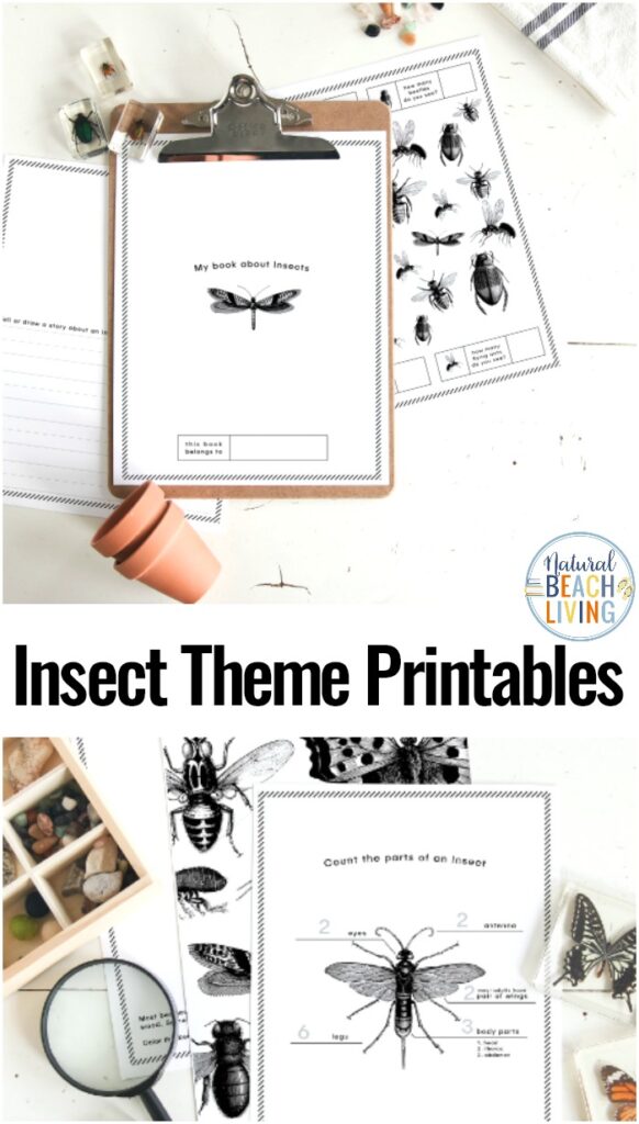 Preschool Insect Theme Printables, Use these Ladybug Life Cycle Activities and Crafts to help plan your own Ladybug unit study or use them to learn or add to your Spring Activities. 30+ Life Cycle of a Ladybug Printables and Activities for Preschoolers, Kindergarten, Toddlers, and older kids too. Find over 100 Life Cycle Activities for Kids Here!