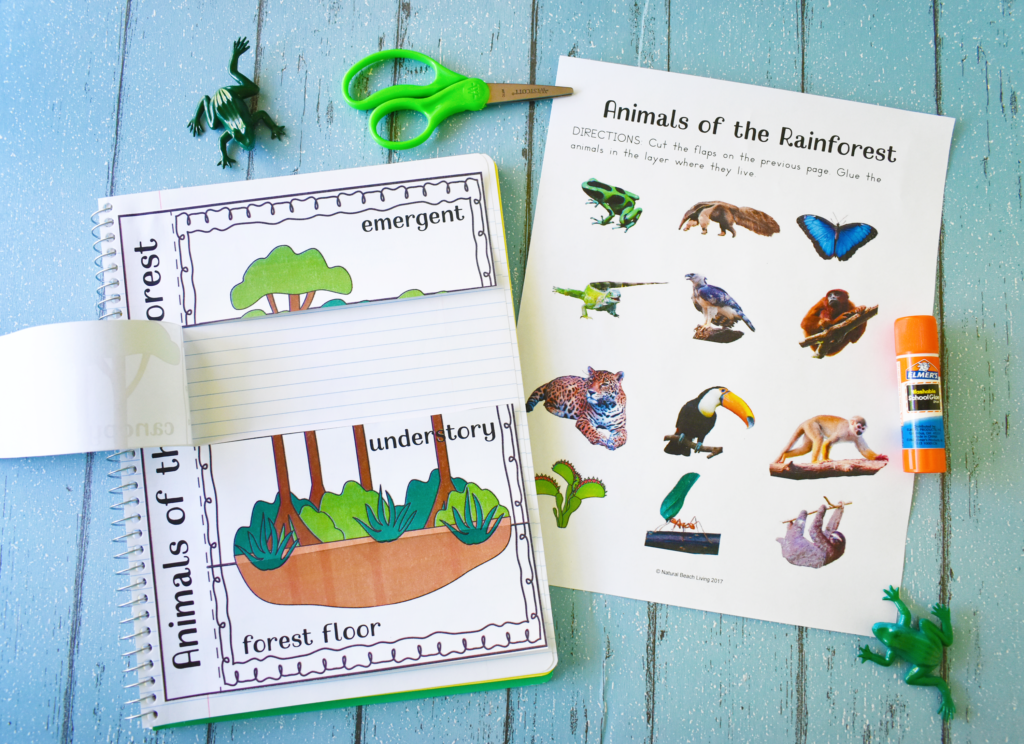 The Best Rainforest Activities for Kids. Rainforest Lesson Plans printables are perfect for preschool and Kindergarten to learn about rainforest animals and the habitats of the rainforest. Your kids will learn while engaging with their imagination and creativity as well. These Rainforest Lesson Plans are perfect for hands-on learning. Rainforest Printables are so much fun