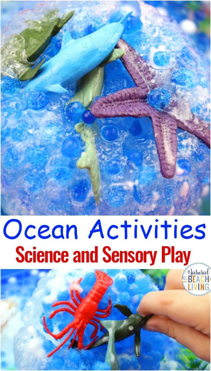 Frozen Ocean Activities for Preschoolers – Ocean Science Experiments