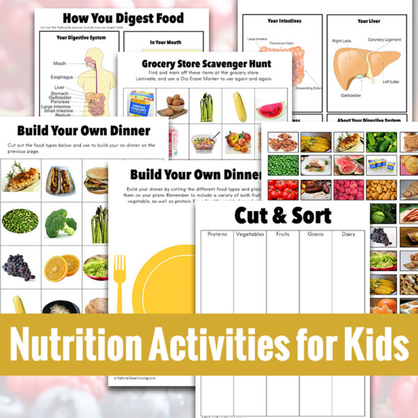 Nutrition Activities for Kids - Natural Beach Living