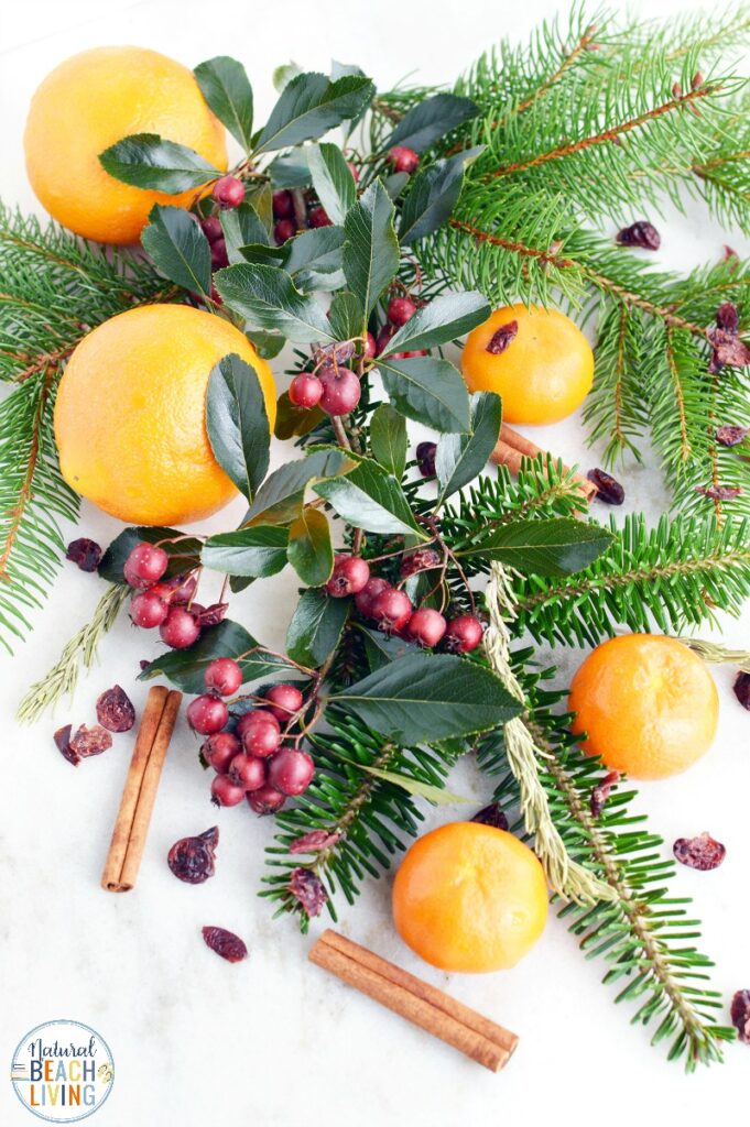 Don't miss out on making this simple Christmas Potpourri in a Jar! It's the perfect Mason Jar craft that looks and smells amazing! Christmas Potpourri smells amazing and makes the perfect DIY gift idea, Make The Best Christmas mason jars gift ideas for friends and family with this Potpourri Recipe