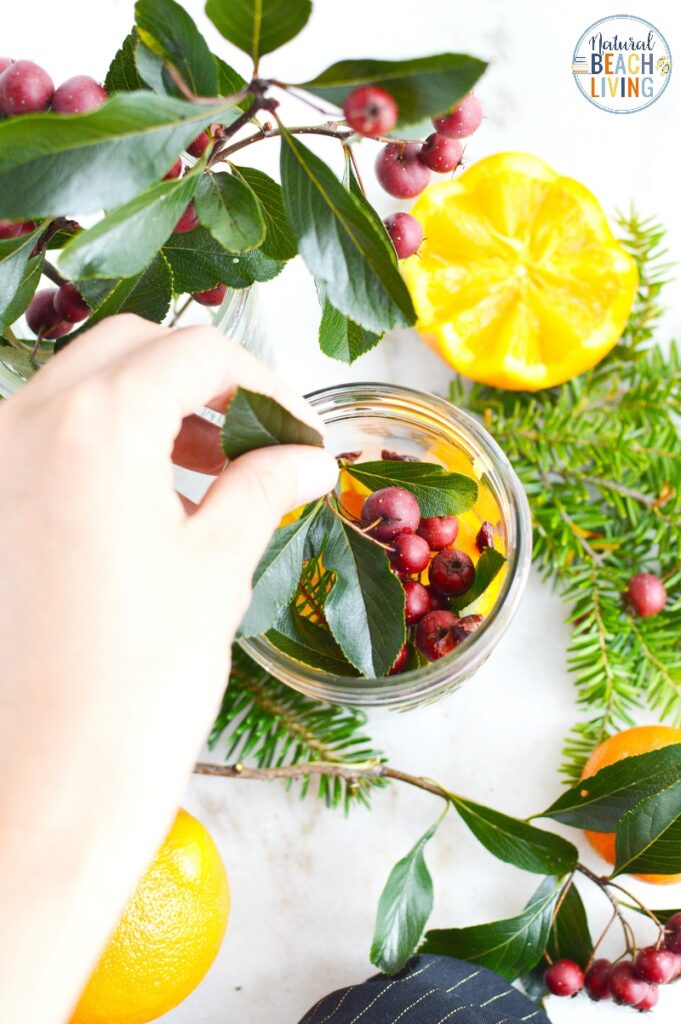 Don't miss out on making this simple Christmas Potpourri in a Jar! It's the perfect Mason Jar craft that looks and smells amazing! Christmas Potpourri smells amazing and makes the perfect DIY gift idea, Make The Best Christmas mason jars gift ideas for friends and family with this Potpourri Recipe