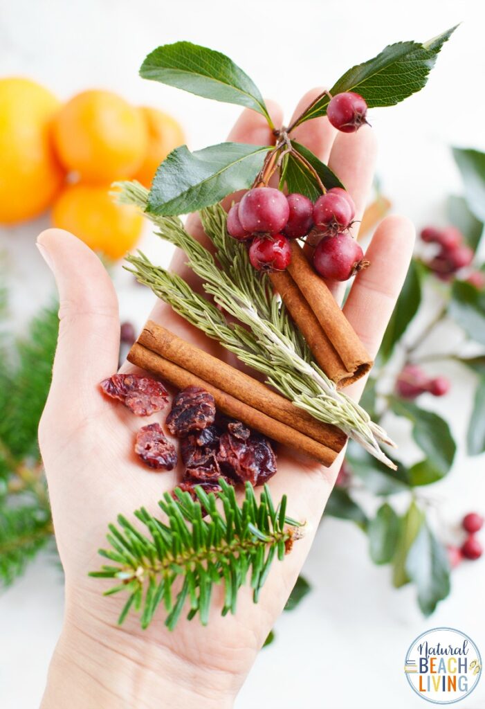 Don't miss out on making this simple Christmas Potpourri in a Jar! It's the perfect Mason Jar craft that looks and smells amazing! Christmas Potpourri smells amazing and makes the perfect DIY gift idea, Make The Best Christmas mason jars gift ideas for friends and family with this Potpourri Recipe