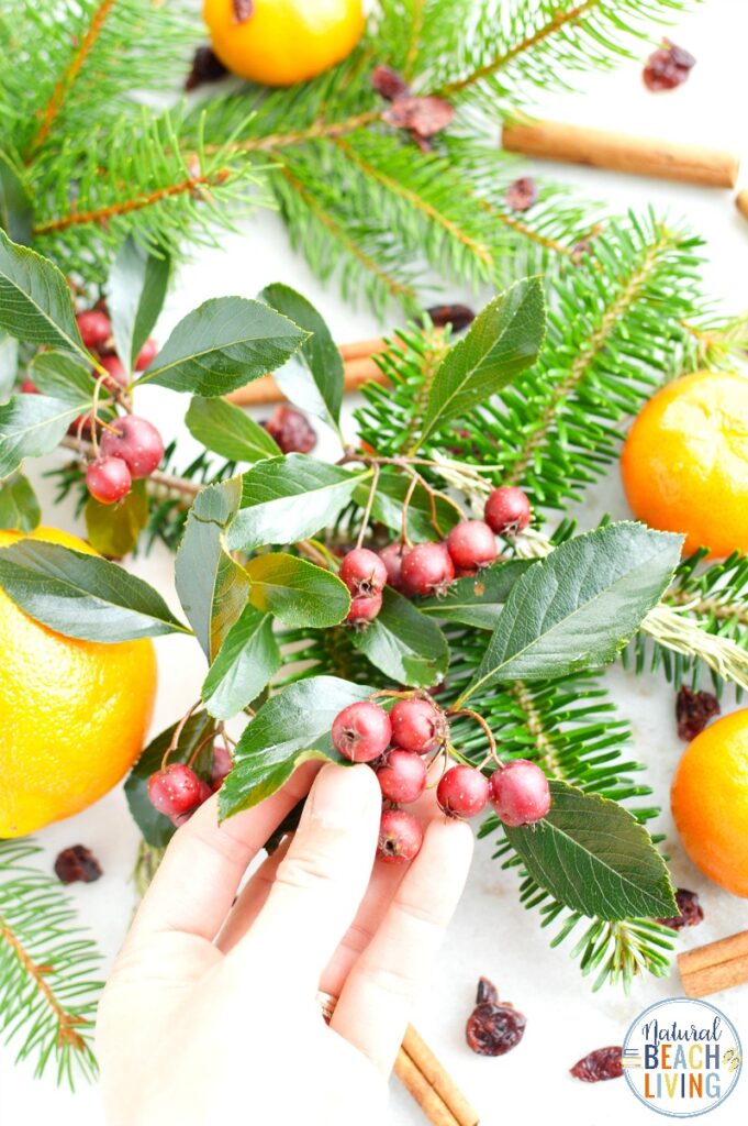 Don't miss out on making this simple Christmas Potpourri in a Jar! It's the perfect Mason Jar craft that looks and smells amazing! Christmas Potpourri smells amazing and makes the perfect DIY gift idea, Make The Best Christmas mason jars gift ideas for friends and family with this Potpourri Recipe