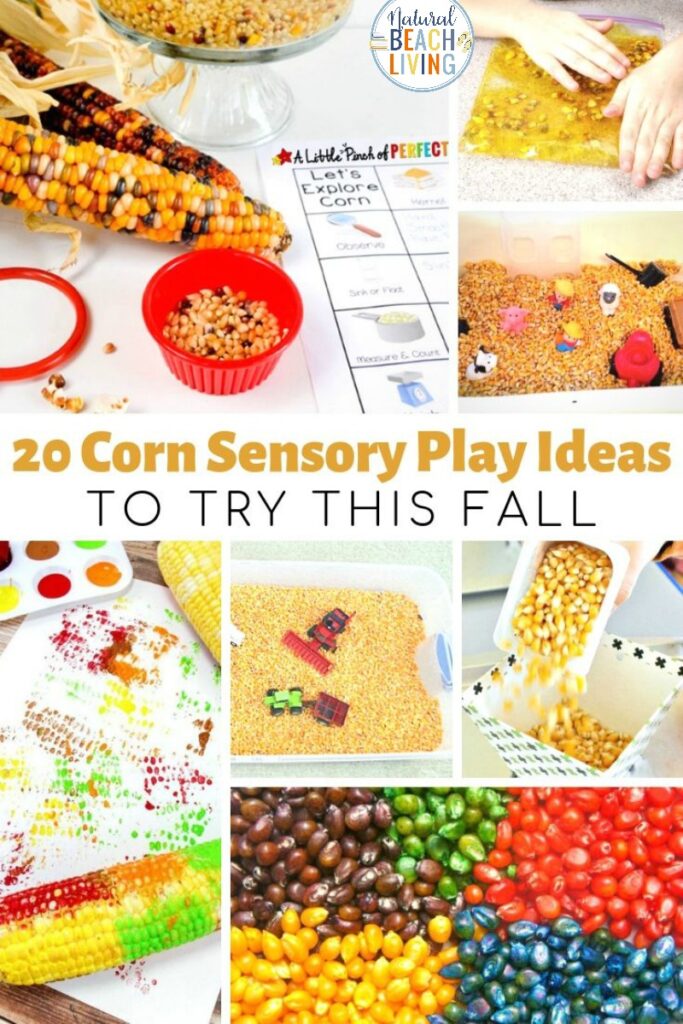 When you think of fall sensory activities, Corn Sensory Play is at the top of the list. Corn sensory activities are the perfect idea for all of your fall sensory play ideas. Fall sensory play is the perfect way for toddlers and preschoolers to explore lovely colors and scents that will delight your child's senses. 