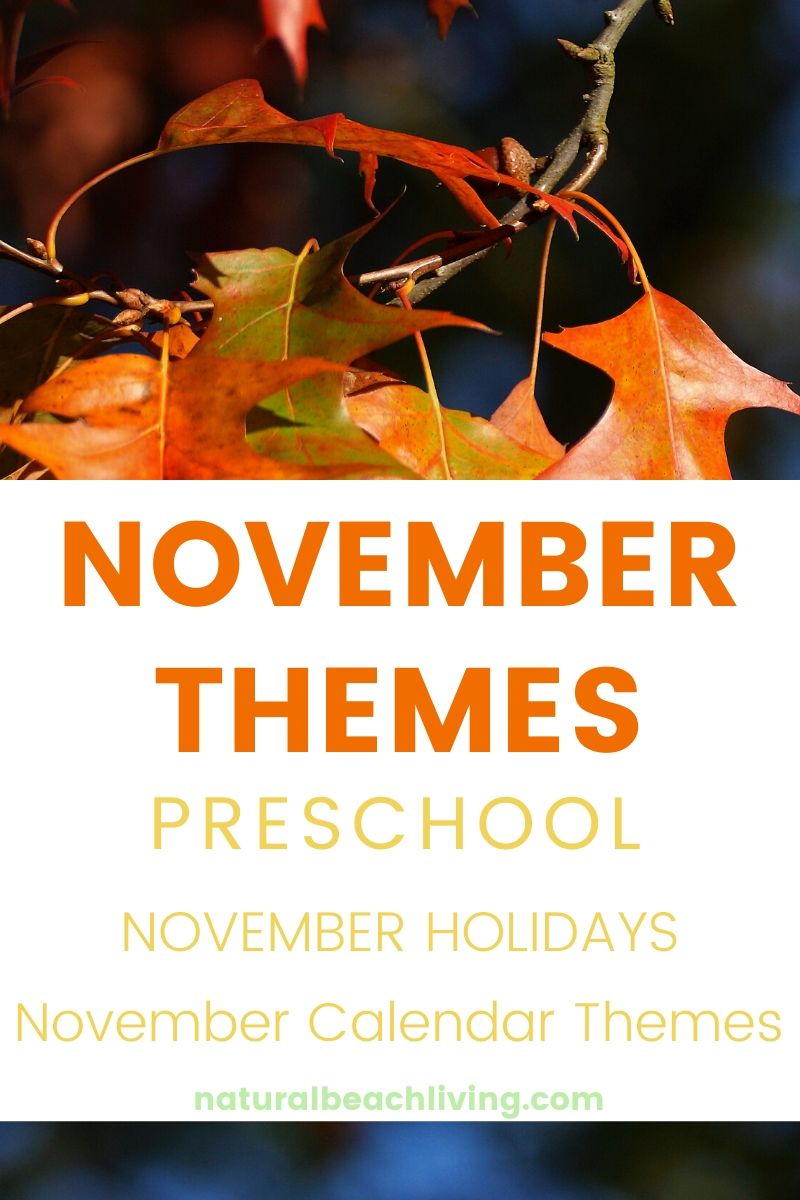 November Themes, Holidays and Activities for Kids and Adults