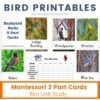 Bird Printables and Bird Activities for Kids - Natural Beach Living