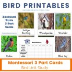 Bird Printables and Bird Activities for Kids - Natural Beach Living