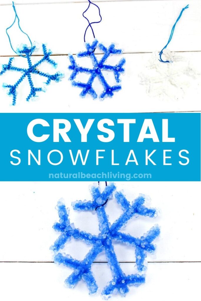 Make The Best Crystal Snowflake Ornaments, Borax Snowflake Crystals that kids can make for a Christmas Ornament or fun Science Project. Winter Science Experiments for Kids, Snowflake Theme, How to Make Snowflakes, Borax Crystal Snowflakes