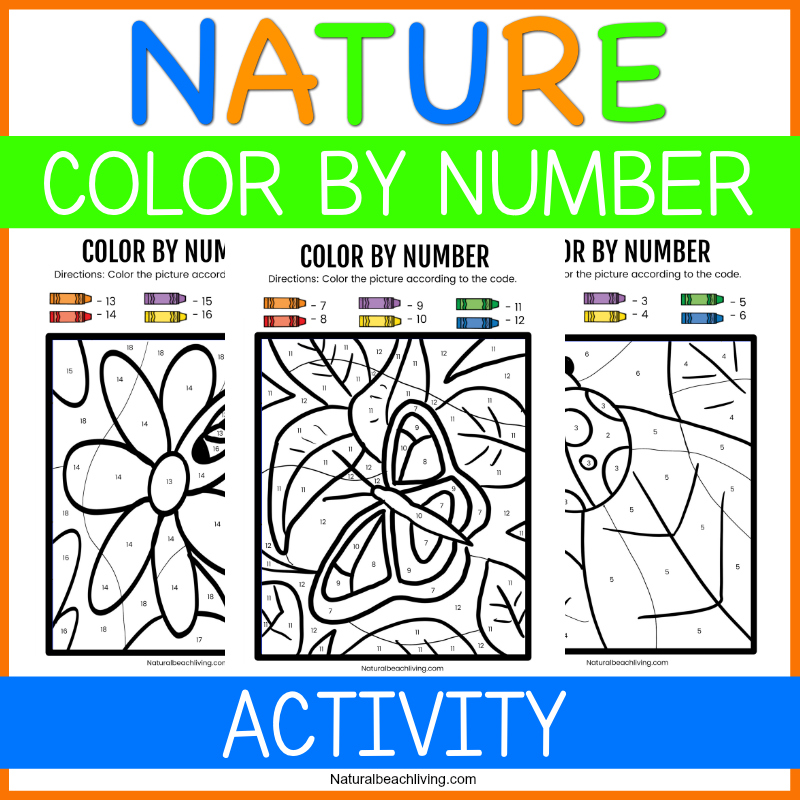 These Nature Color By Number Preschool Worksheets are great for a wide variety of ages. Your children will love to be creative! Grab these Free Color By Number Worksheets for your kids to enjoy. Free preschool number worksheets and Nature Color By Number free printables for homeschooling or fun. 