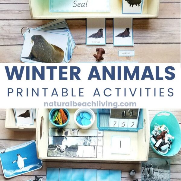 Montessori Winter Animals Theme Activities