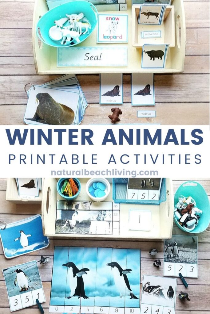 Don't miss out on these Winter Animals Preschool Theme Unit Study! It's a great way to learn all using hands on activities and winter animals during the cold winter season. Winter Animals Preschool Theme, Montessori Winter Animals Printables