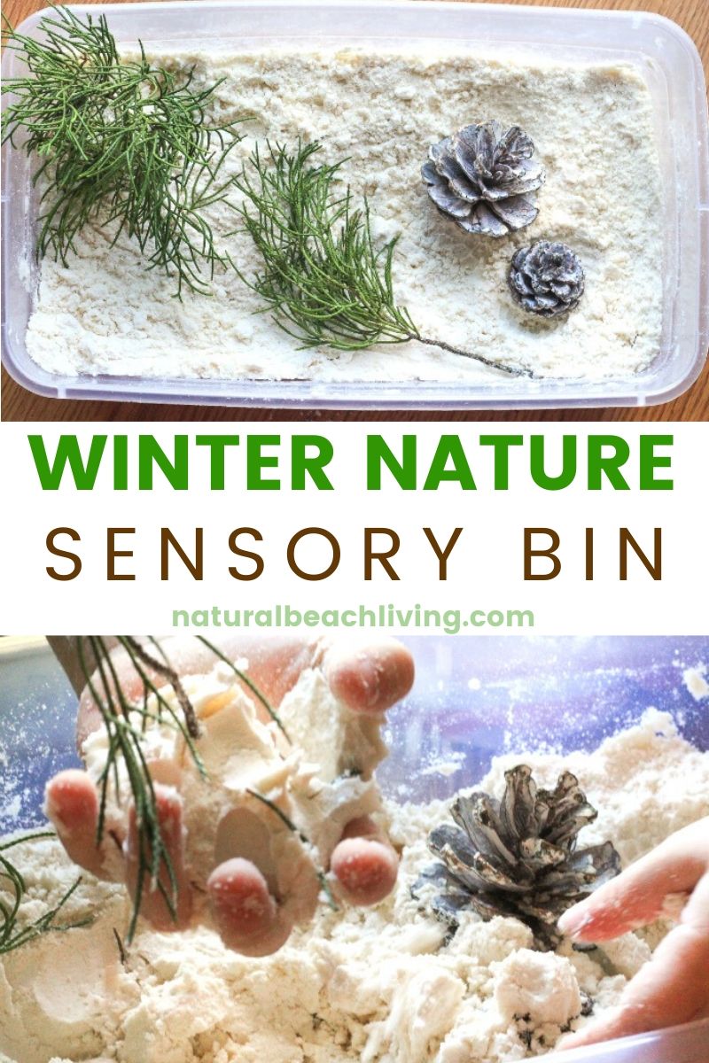 Winter Nature Sensory Bin with Snow Cloud Dough
