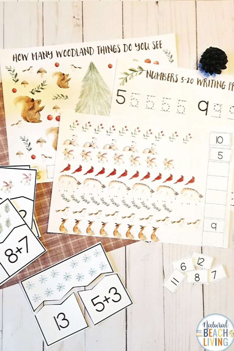 Winter Woodland Animals Math Activities