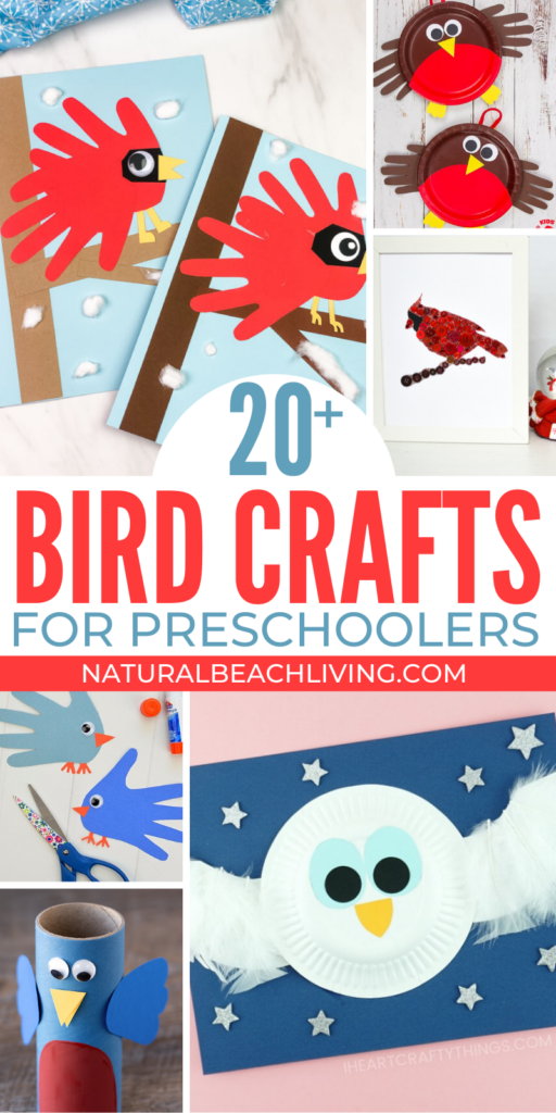 These Bird Preschool Crafts are fun at any time of year. From cardinals and robins to colorful peacocks and parrots crafts, there are so many great Bird Crafts for Preschoolers here. These crafts are a great addition to your preschool theme activities and fun Bird Activities for Preschoolers