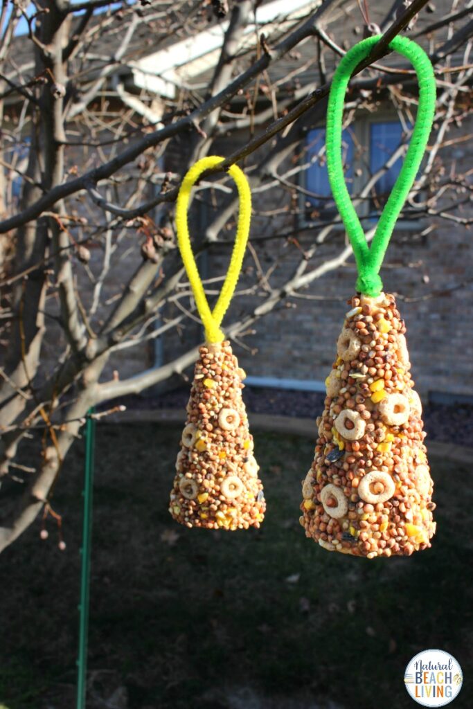 DIY Birdseed Ice Ornaments
