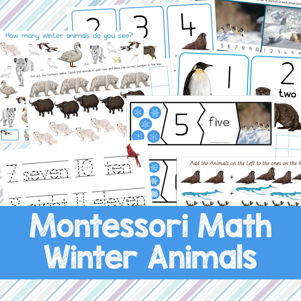 Learning with Winter Animals Montessori Math is so much Fun, These Montessori Math Activities for Preschoolers and Kindergarten are perfect for winter math activities, themed lesson plans, and learning centers. Winter Animals Printables and Winter Math Activities are a favorite winter preschool theme. Grab the best Math Activities for Kindergarten and Preschool Math Printables Here 