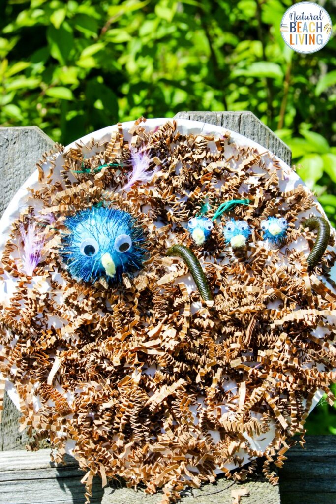 One of the best ways to learn is with hands-on activities, so with the help of simple craft supplies, and a little inspiration from your backyard birds, children can create a cute Paper Plate Bird Nest Craft. Bird Activities for Preschoolers that will teach them all about bird habitats. Find the best Bird Crafts for kids Here  