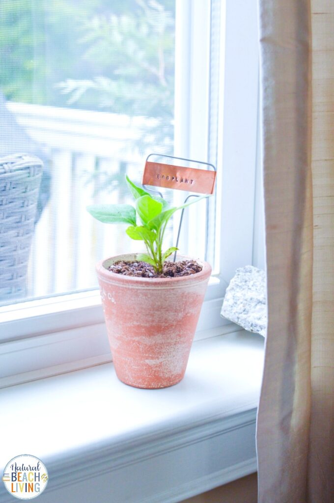 Planting Activities for Preschoolers and DIY Garden Markers - Natural ...