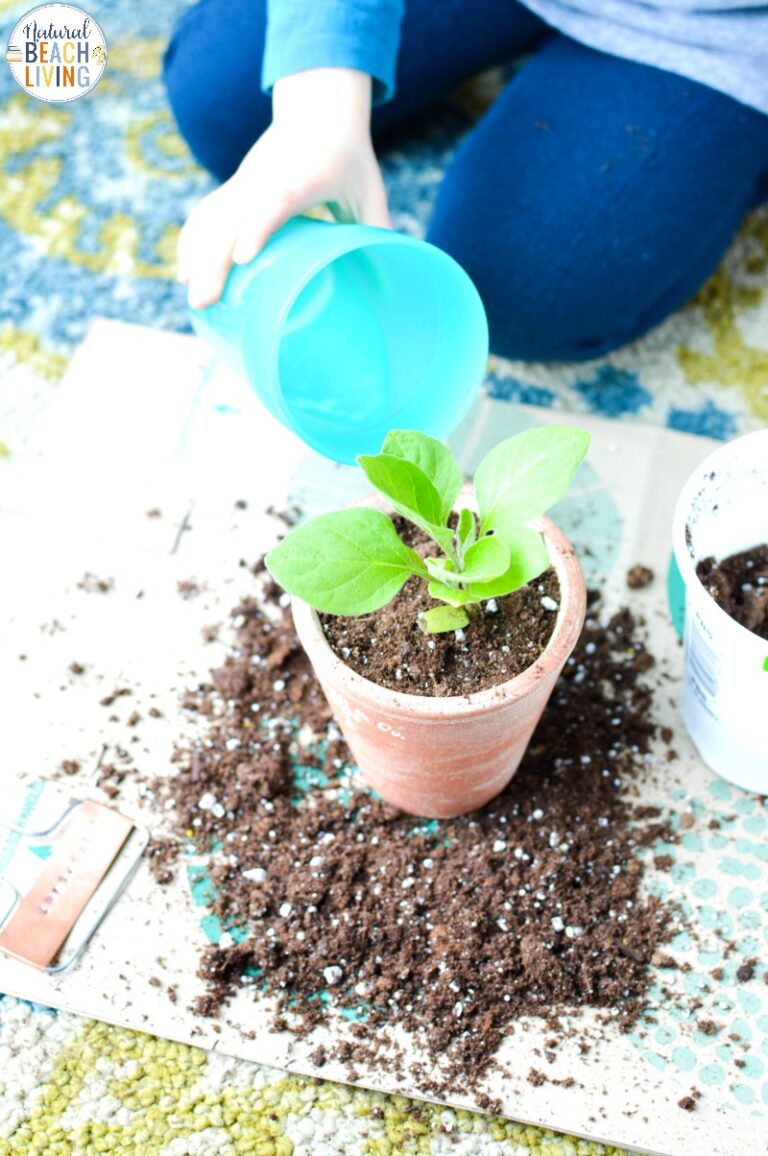 Planting Activities for Preschoolers and DIY Garden Markers - Natural ...