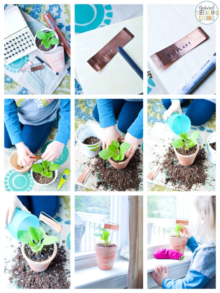 Planting Activities for Preschoolers and DIY Garden Markers - Natural ...