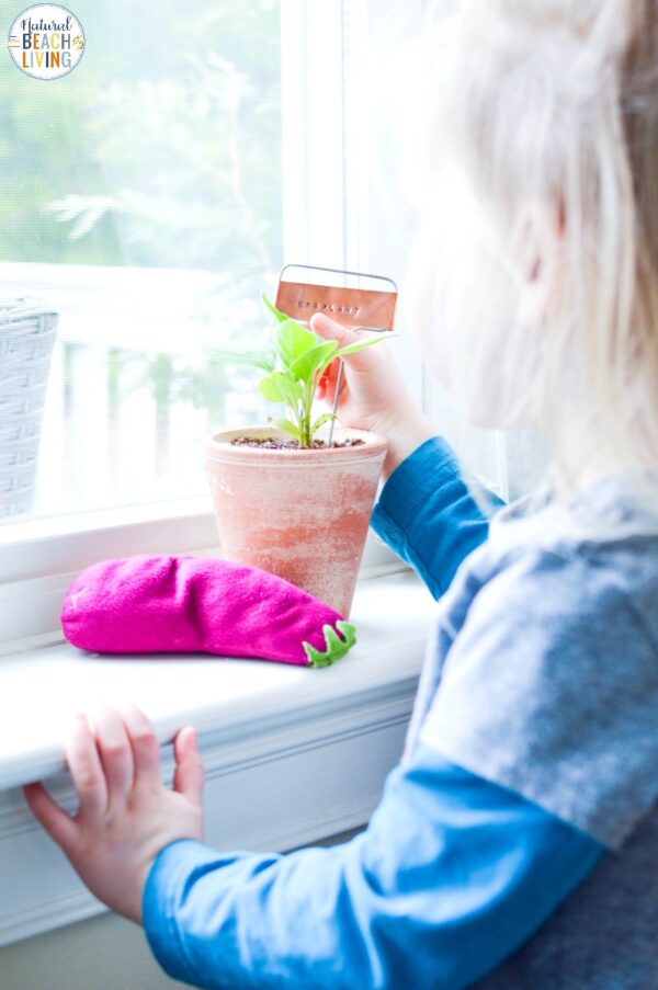 Planting Activities for Preschoolers and DIY Garden Markers - Natural ...