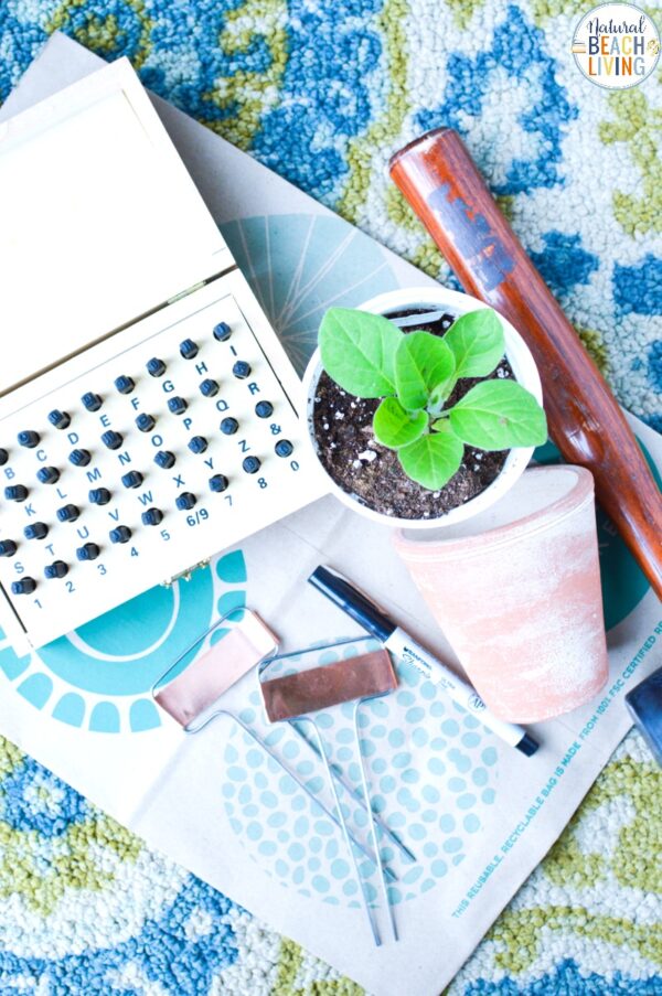 Planting Activities for Preschoolers and DIY Garden Markers - Natural ...