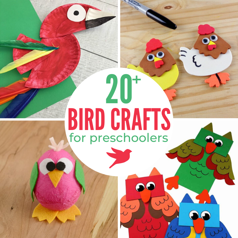 These Bird Preschool Crafts are fun at any time of year. From cardinals and robins to colorful peacocks and parrots crafts, there are so many great Bird Crafts for Preschoolers here. These crafts are a great addition to your preschool theme activities and fun Bird Activities for Preschoolers